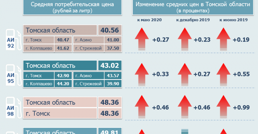 О средних потребительских ценах на топливо моторное по Томской области в июне 2020 года